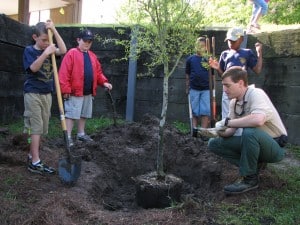 Apr2010Pack 400 Tree Planting-7913
