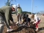 2011plantatreeintheparkweb