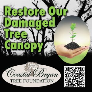Please help us restore our trees