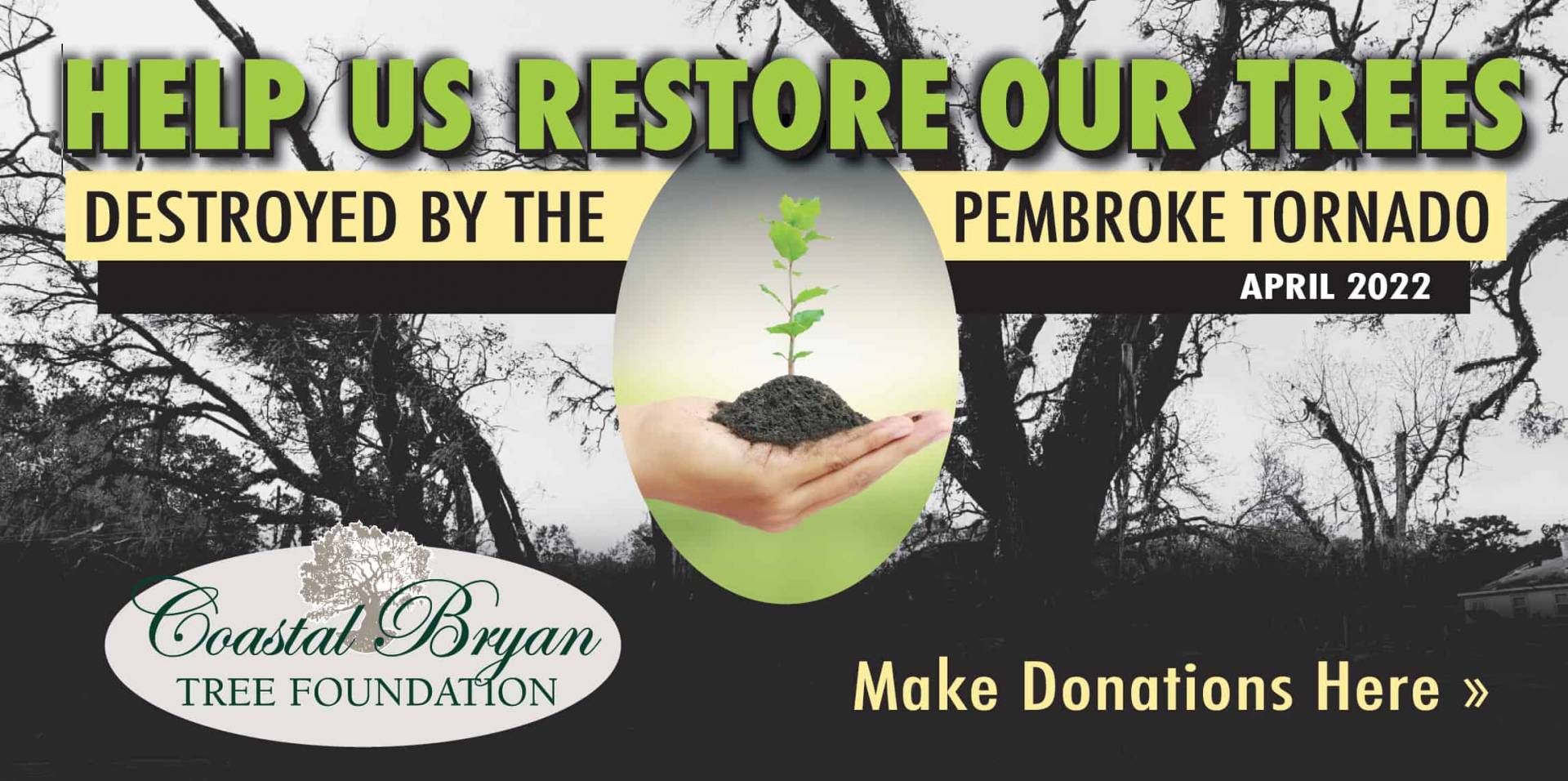 Help Save Our Trees, Make a Donation Today!